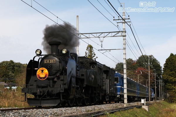 いつもの場所で撮影したハロウィンのヘッドマークを付けたSL大樹