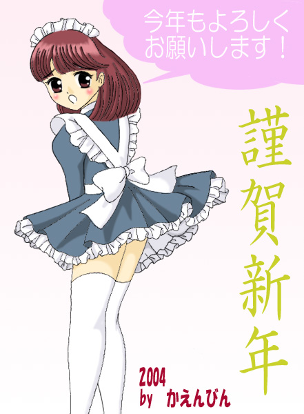 2004NNiт񂳂j