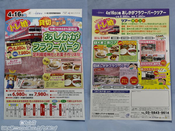 トレ婚パンフレット