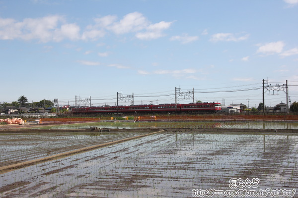 1819F񑗁i5/3j
