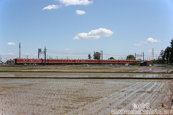 8111F񑗁i5/3j