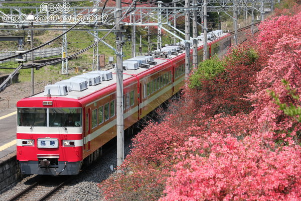 1819F񑗁îPF5/5j