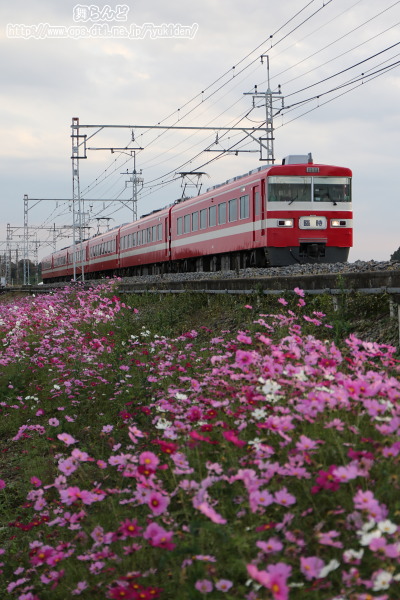 RXX1819FîQj