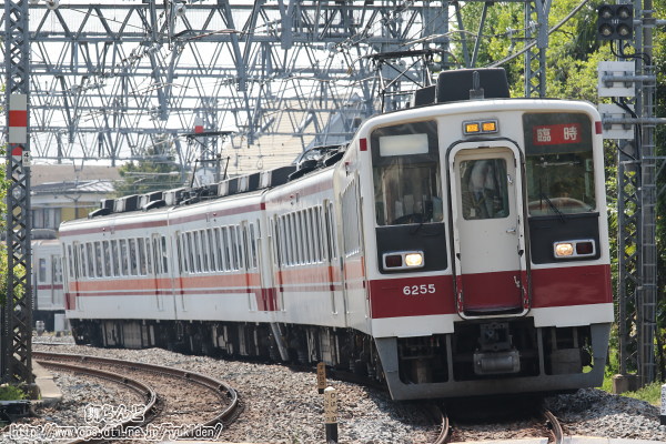 4/296050n̗Վԁi6167F{6155F^Hj