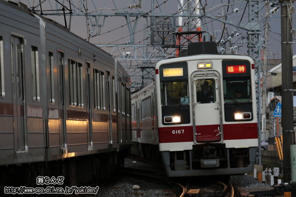 4/296050n̗Վԁi6167F{6155F^Hj