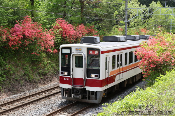 ccW6170F+6173FՎ