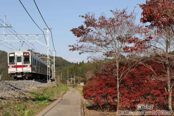 上り臨時列車（11663F／11月11日）