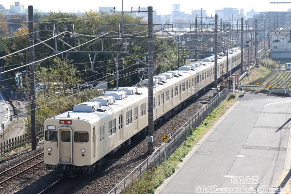 8111Fによる宮代トウブコフェスティバル臨時列車