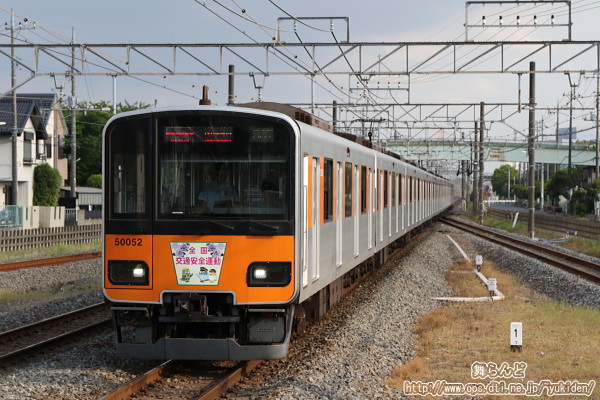 2019Nt̑SʈSwbh}[Ni51052Fj