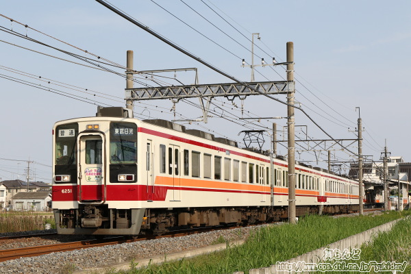 2019Nt̑SʈSwbh}[Ni6173F-6151F^̂Qj