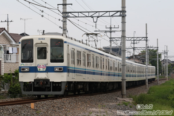 2019Nt̑SʈSwbh}[Ni8192F^̂Pj