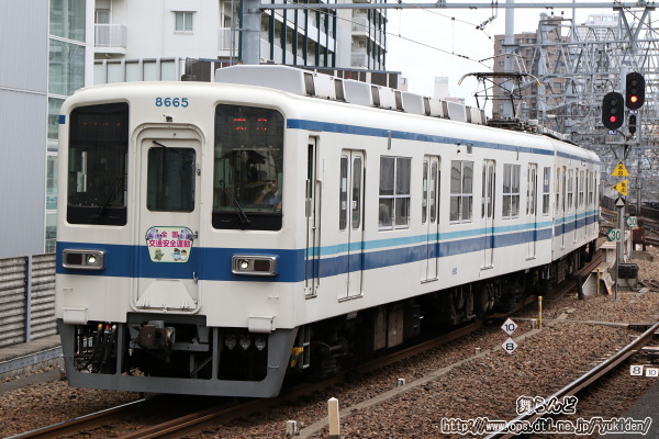 2019Nt̑SʈSwbh}[Ni8565F^̂Pj