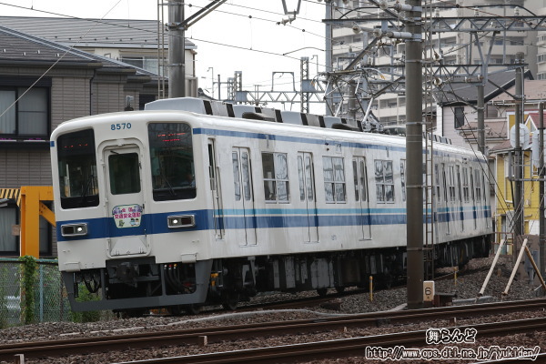 2019Nt̑SʈSwbh}[Ni8565F^̂Qj