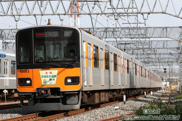 2020NH̑SʈS^̃wbh}[Nt51053F