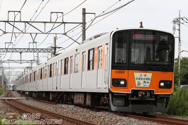 2020NH̑SʈS^̃wbh}[Nt51060F