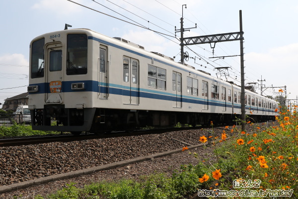 2023年秋の全国交通安全運動のヘッドマークを付けた804F（その1）