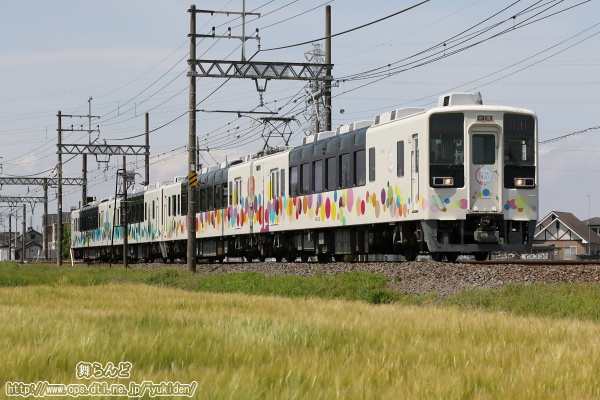 麦畑の脇を走り抜けるスカイツリートレイン
