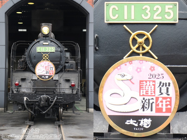 SL3機撮影会（C11 325）