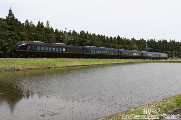 杉並木と日光線を走るE655系「なごみ（和）」