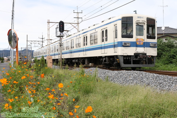 2025年秋の全国交通安全運動のヘッドマークが付けられた805F（その1）
