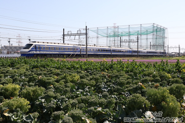 伊勢崎線を走る試運転中の205F