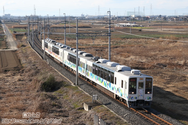 冬枯れの田園の中を行くスカイツリートレイン