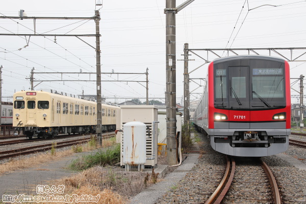 71701Fと8111F