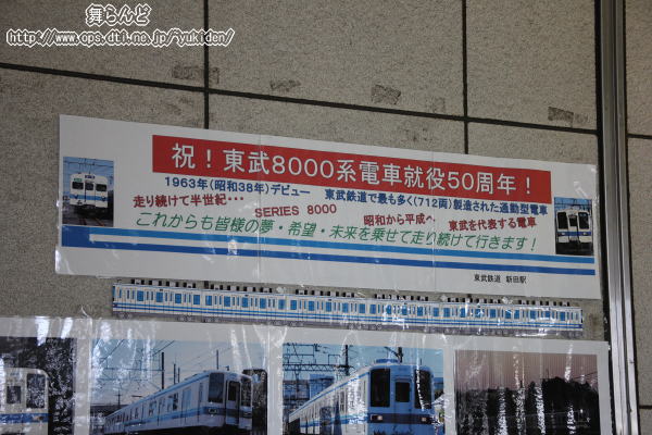 8000nA50N|X^[îPj