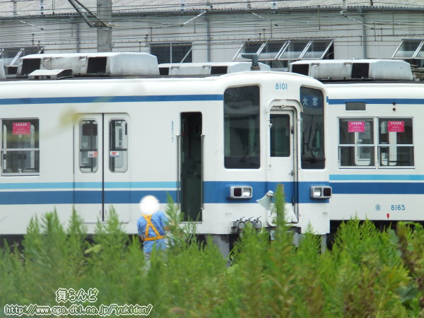 xɗu8101FîQj
