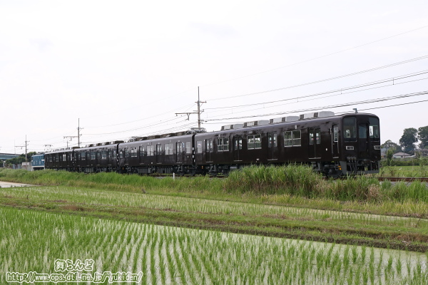 後追い撮影でぶどう色1号の塗装となった81111F