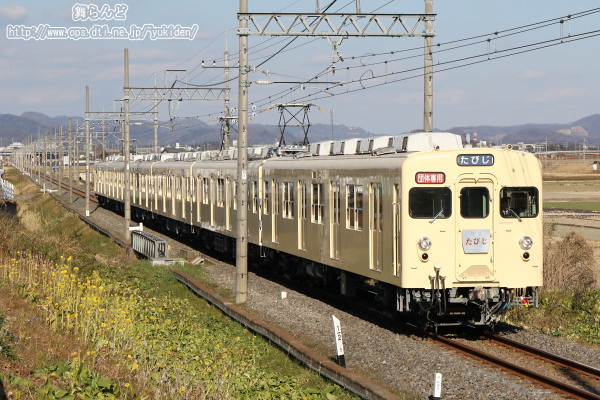 菜の花と8111F