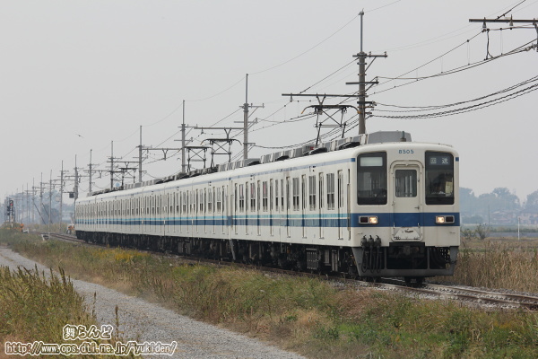 8505Fに牽引されて秩父鉄道を行く8181F