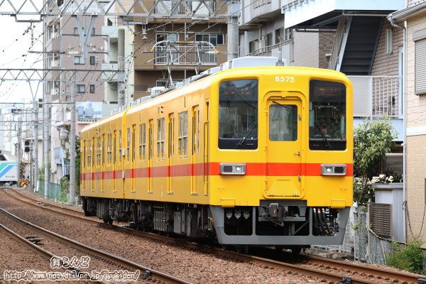 いつもの撮影地で・・・（試験塗装8575F）