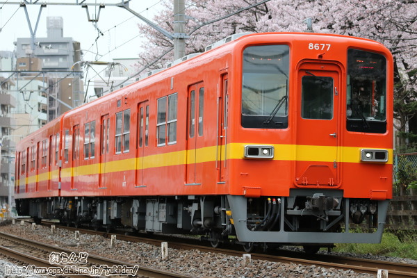 桜と標準色リバイバルカラーの8577F
