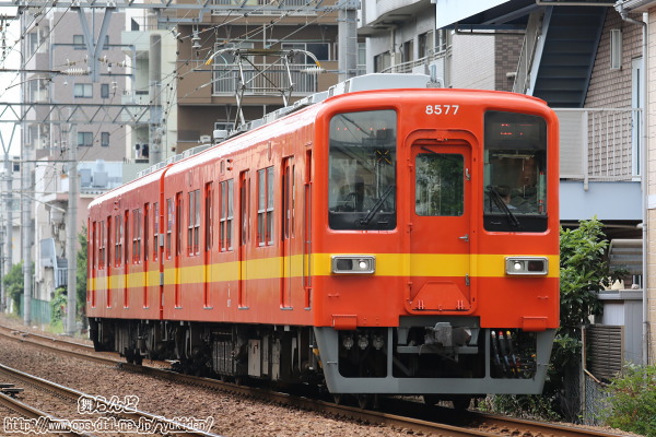 良く行く場所撮影した標準色リバイバルカラー8577F