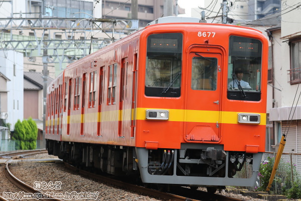 亀戸から戻ってきた標準色リバイバルカラー8577F