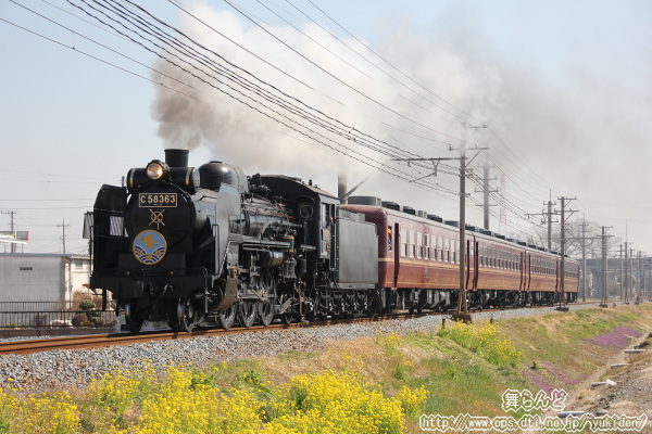 C58363@^]