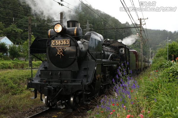 坂を登り終えて煙が見えなくなったばかりの門鉄デフとなったC58 363と旬を迎えた花々