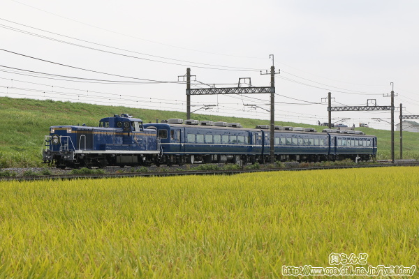 渡良瀬川の堤防の脇を行くDE10北斗星カラーデビュー記念の団体専用列車
