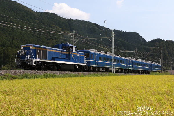 トンボが飛び交う田圃の脇を行くDE10北斗星カラーデビュー記念の団体専用列車