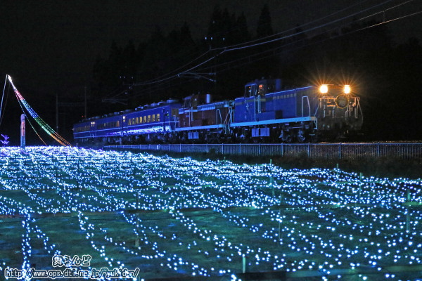 LED電飾の光に照らされるDE10重連走行