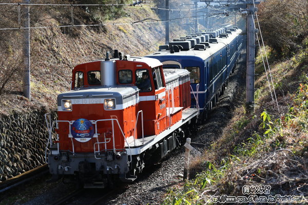 DL大樹3号　スターライトクリスマス（12/22）