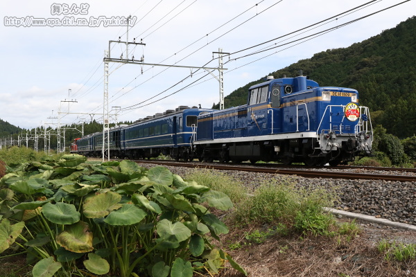 栃木に向けて回送されるDL大樹とちぎグルメ号と芋畑
