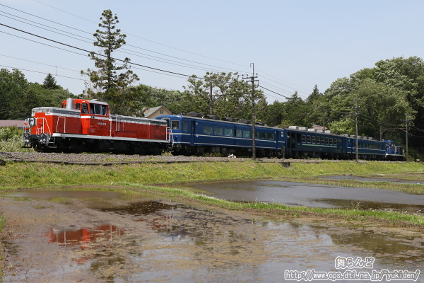 田植え前の水が張られた水田の脇を行くDL大樹2号（5/18)