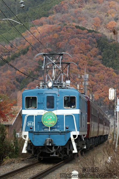 紅葉とELパレオエクスプレス