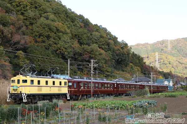 EL埼玉県民の日号（往路）