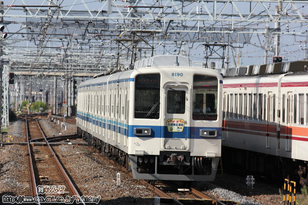 26N̏H̑SʈS^̃wbh}[Nt8190FîRj