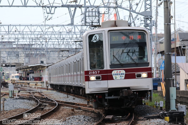 27NH̑SʈS^̃wbh}[Nt21857F