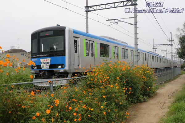 RXX61616F