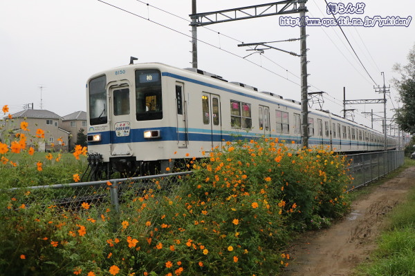 RXX8150F